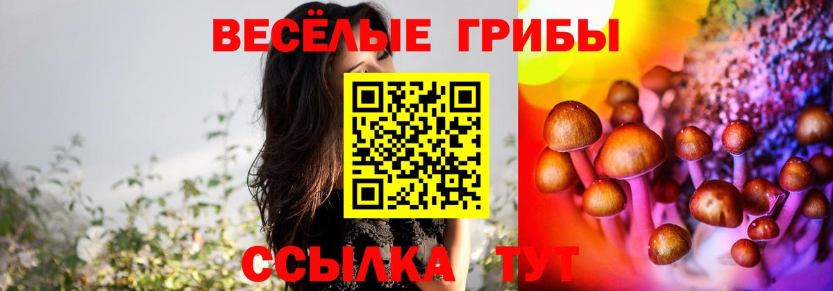 Псилоцибиновые грибы Cubensis  Вход с VPN  Кунгур 